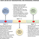 A flow chart of strategies for building trust in a team from Zakaria’s research.